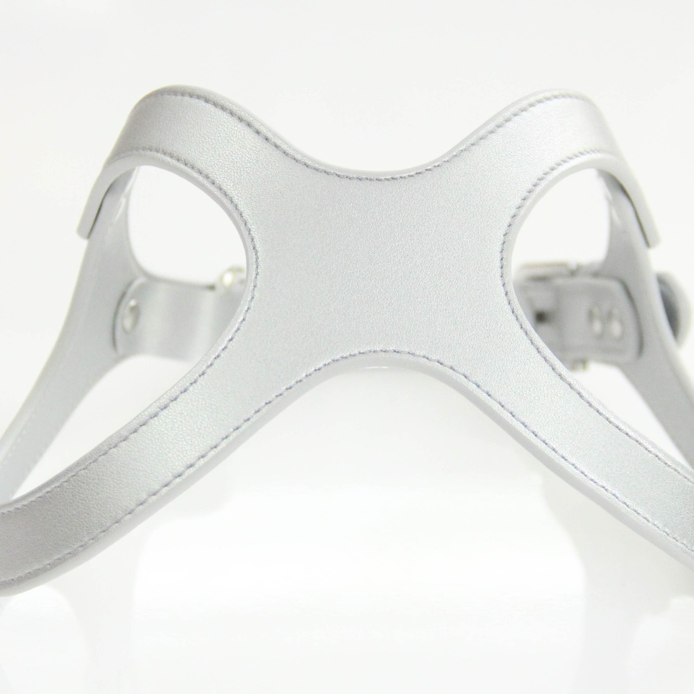 To Beg for Accessories and Treats Premium Vegan Dog Harness Size Small